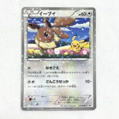 2026年最新】プロモーションカード イーブイ ピカチュウ