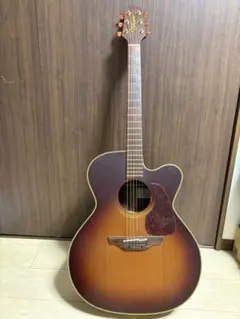 2026年最新】TAKAMINE NPT-012の人気アイテム - メルカリ