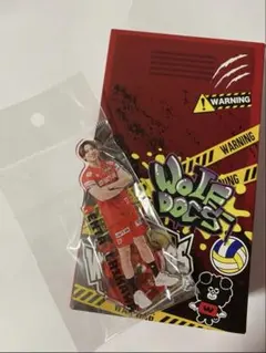 2026年最新】市川健太選手の人気アイテム - メルカリ