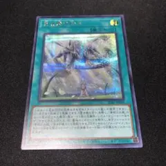 2026年最新】青き眼の賢士 シークレットの人気アイテム - メルカリ