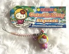 2026年最新】サーフィンキティの人気アイテム - メルカリ