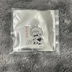 2026年最新】アクリルmini ヒロアカ フィギュアの人気アイテム - メルカリ