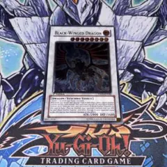 2026年最新】ブラックフェザー 英語の人気アイテム - メルカリ