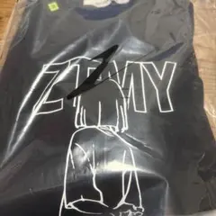 2026年最新】Ztmy nira teeの人気アイテム - メルカリ