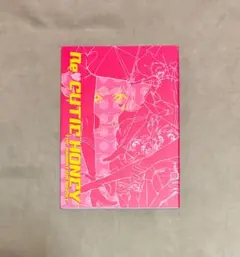 2026年最新】Re:キューティーハニー アニメーション原画集の人気