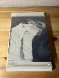 2026年最新】スロウダメージ トワの人気アイテム - メルカリ