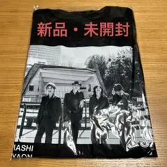 2026年最新】エレファントカシマシ tシャツ 野音の人気アイテム - メルカリ