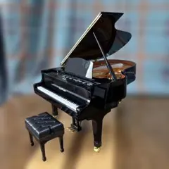 2026年最新】grand pianistの人気アイテム - メルカリ