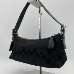 2026年最新】COACH 6371の人気アイテム - メルカリ