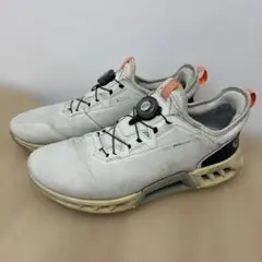 2026年最新】eccoゴルフシューズ 42の人気アイテム - メルカリ