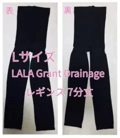 2026年最新】グラントイーワンズ ドレナージュタイツの人気アイテム