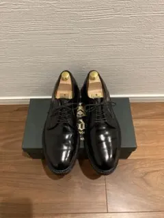 2026年最新】オールデン9901 コードバンの人気アイテム - メルカリ