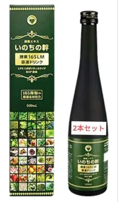 2026年最新】生命科学研究所いのちの幹の人気アイテム - メルカリ