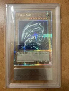 2026年最新】青眼の白龍 25th arsの人気アイテム - メルカリ