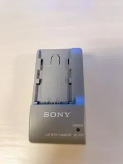 2026年最新】NP-FV100Aの人気アイテム - メルカリ