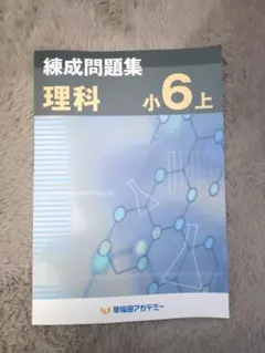 2026年最新】早稲アカ 錬成の人気アイテム - メルカリ