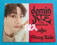 2025年最新】dominate バンチャンの人気アイテム - メルカリ