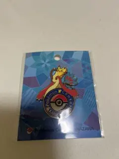 2026年最新】ポケモンセンター ピンズ 金沢の人気アイテム - メルカリ