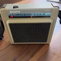 2026年最新】SONY ICR-S71の人気アイテム - メルカリ