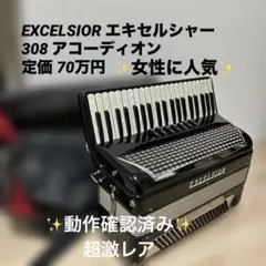 2026年最新】excelsior 308の人気アイテム - メルカリ