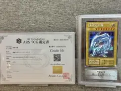 m78889669057_1.jpg?1772021293