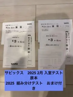2026年最新】サピックス 入室テスト 2年の人気アイテム - メルカリ
