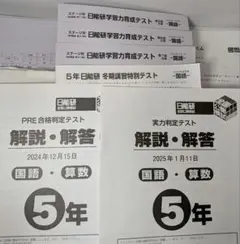 2026年最新】日能研 模試 5年生の人気アイテム - メルカリ