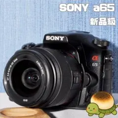 2026年最新】sony α65の人気アイテム - メルカリ