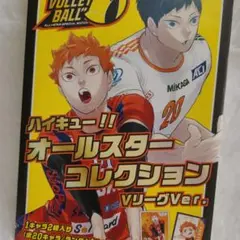 2026年最新】ハイキュー オールスターコレクション vリーグの人気