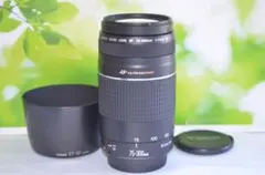 2026年最新】EOS 60D 300mmの人気アイテム - メルカリ