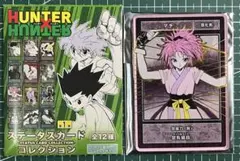 2026年最新】ステータスカードコレクション ハンターハンターの人気