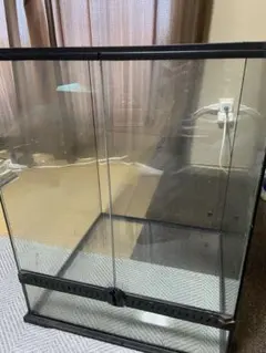 2026年最新】レインフォレストタンクの人気アイテム - メルカリ