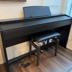 2026年最新】カシオ px－830の人気アイテム - メルカリ