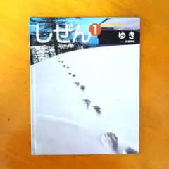 2026年最新】キンダーブックしぜん きょうりゅうの人気アイテム - メルカリ