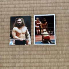 2026年最新】ブルーザー・ブロディの人気アイテム - メルカリ