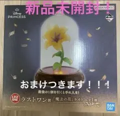 2026年最新】一番くじ ラプンツェル ライトの人気アイテム - メルカリ