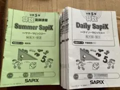 2026年最新】デイリーサピックスの人気アイテム - メルカリ