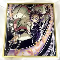 2026年最新】Webshopくじ 胡蝶しのぶの人気アイテム - メルカリ