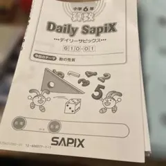 2026年最新】デイリーサピックスの人気アイテム - メルカリ