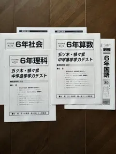 2026年最新】五ツ木駸々堂模試の人気アイテム - メルカリ