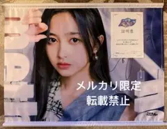 2026年最新】乃木フェス サインの人気アイテム - メルカリ