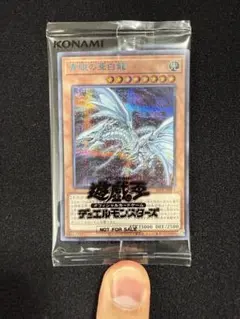 2026年最新】オルタナティブ ブルシクの人気アイテム - メルカリ