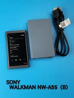 2026年最新】nw a55 ケースの人気アイテム - メルカリ