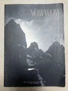 2026年最新】vowwow バンドスコアの人気アイテム - メルカリ