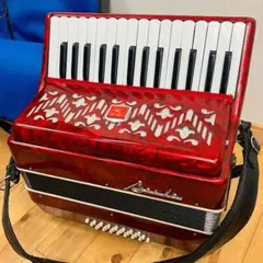 2026年最新】アコーディオン baileの人気アイテム - メルカリ