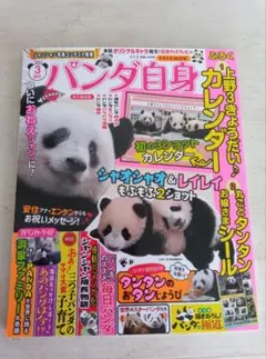 2026年最新】パンダ自身の人気アイテム - メルカリ