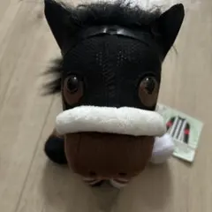 2026年最新】カレンブーケドール アイドルホースの人気アイテム - メルカリ