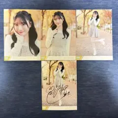 2026年最新】本田珠由記 直筆 コンプの人気アイテム - メルカリ