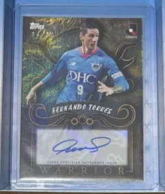 2026年最新】フェルナンドトーレス サインの人気アイテム - メルカリ