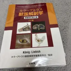 2026年最新】カラーアトラス獣医解剖学〈下巻〉の人気アイテム - メルカリ